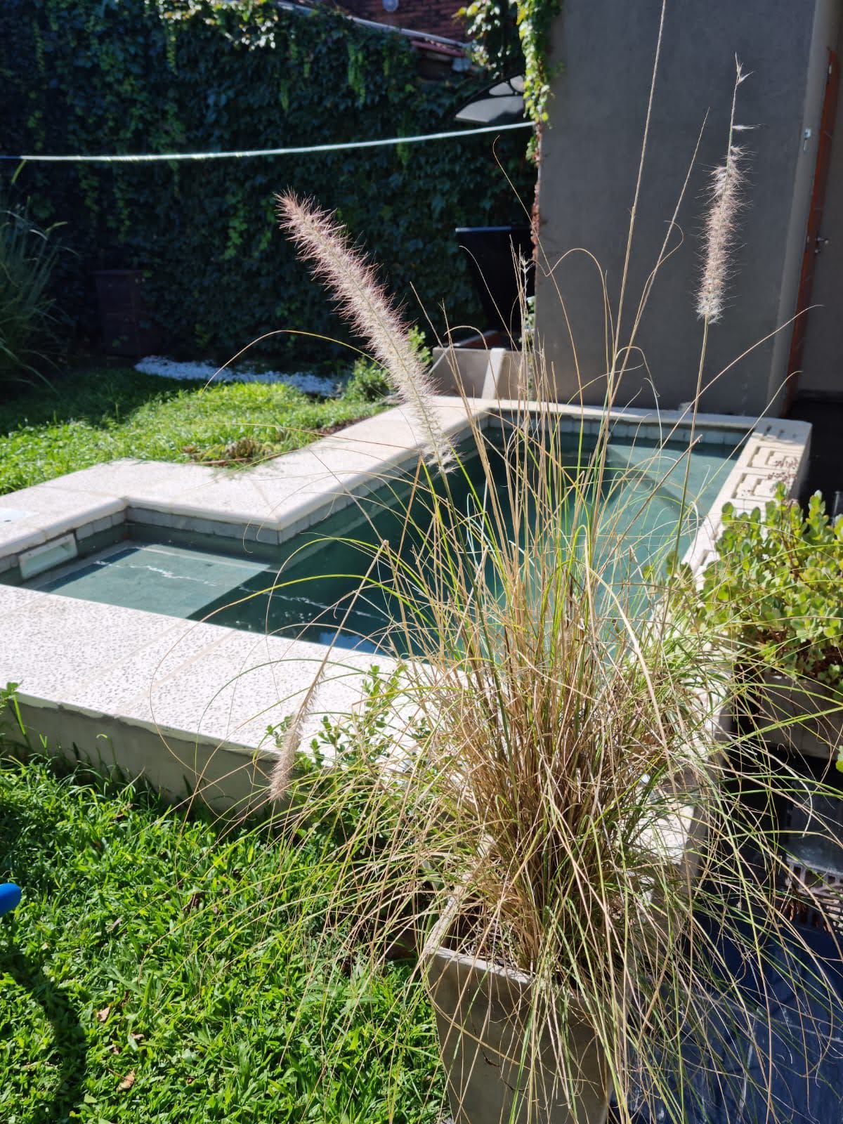 Piscina de diseño exclusivo